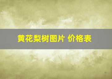 黄花梨树图片 价格表